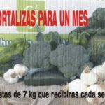 4 Boxes of vegetables 7 kg, receive them every week
