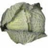 Cabbage