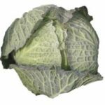 Cabbage
