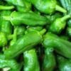 Kg Padrón peppers