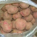 20 kg of red potatoes, red pontiac