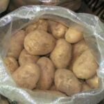20 kg of white Kennebec variety potatoes