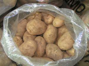 20 kg of white Kennebec variety potatoes