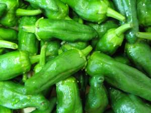 Bag of approximately 300 gr Padrón peppers