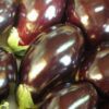Eggplant