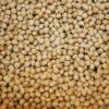 Pedrosillano chickpea