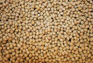 Pedrosillano chickpea