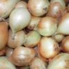 Kg dried onions