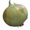 Kg dried onions