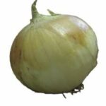 Kg dried onions