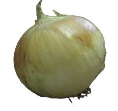 Kg dried onions