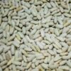 White Kidney Bean