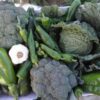 10 kg of fresh vegetables