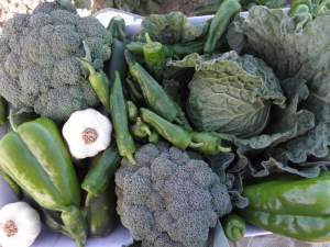 10 kg of fresh vegetables