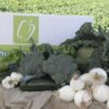 10 kg of fresh vegetables