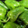 Green lamuyo peppers