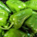 Green lamuyo peppers