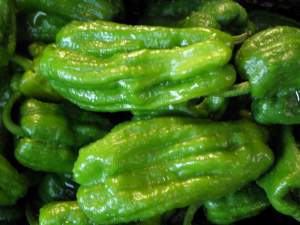 Hot peppers