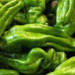 Italian pepper
