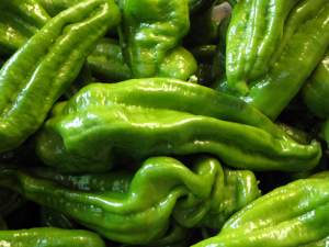 Italian pepper