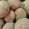 Red Pontiac Red Potatoes