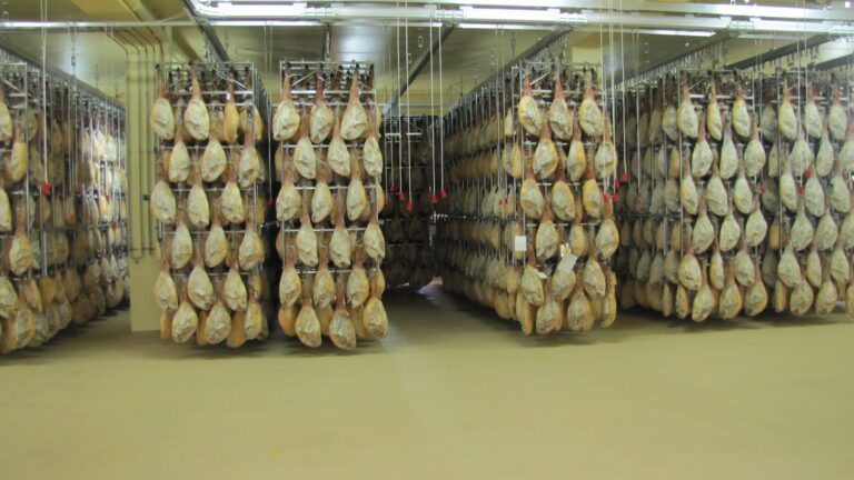 Moho en el jamón ibérico: cuándo es normal, cuándo preocuparse y qué hacer