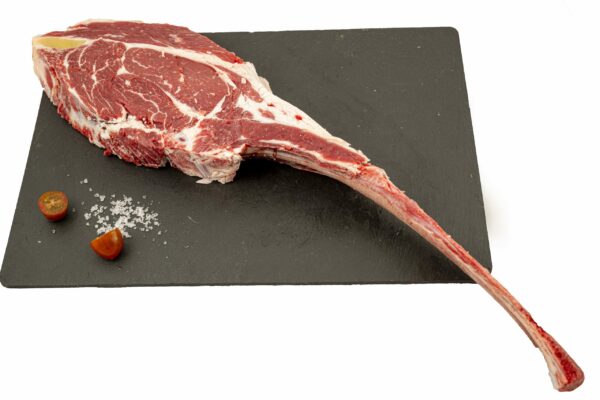 Tomahawk aguja