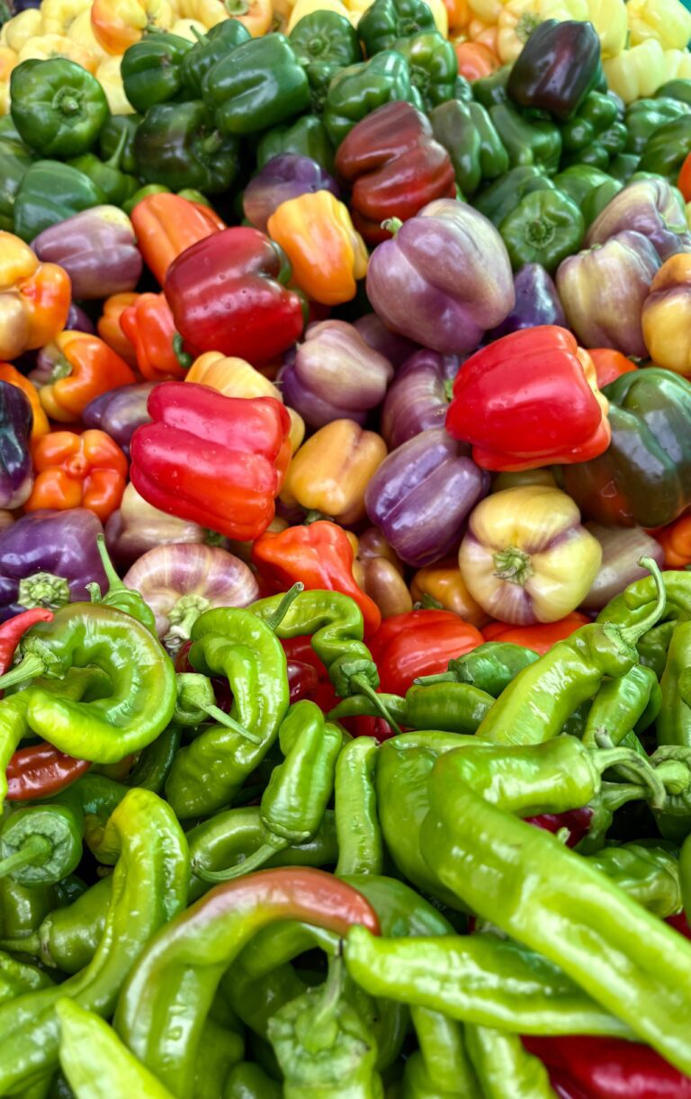 Types of peppers: Lamuyo, California, Italian, bell peppers and other varieties