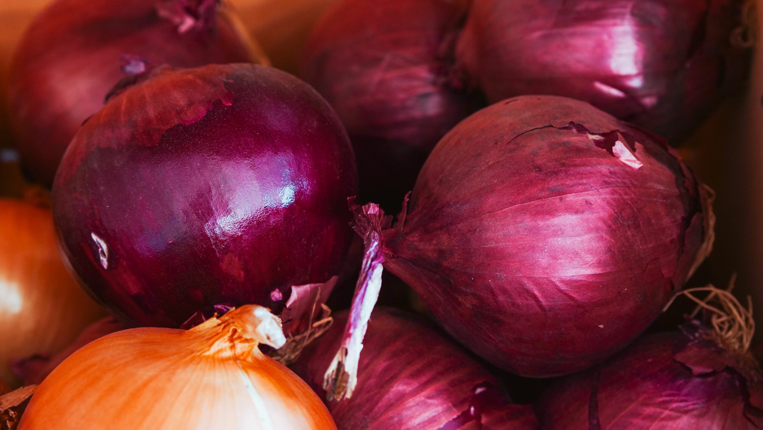 Primer plano de cebollas rojas y amarillas frescas