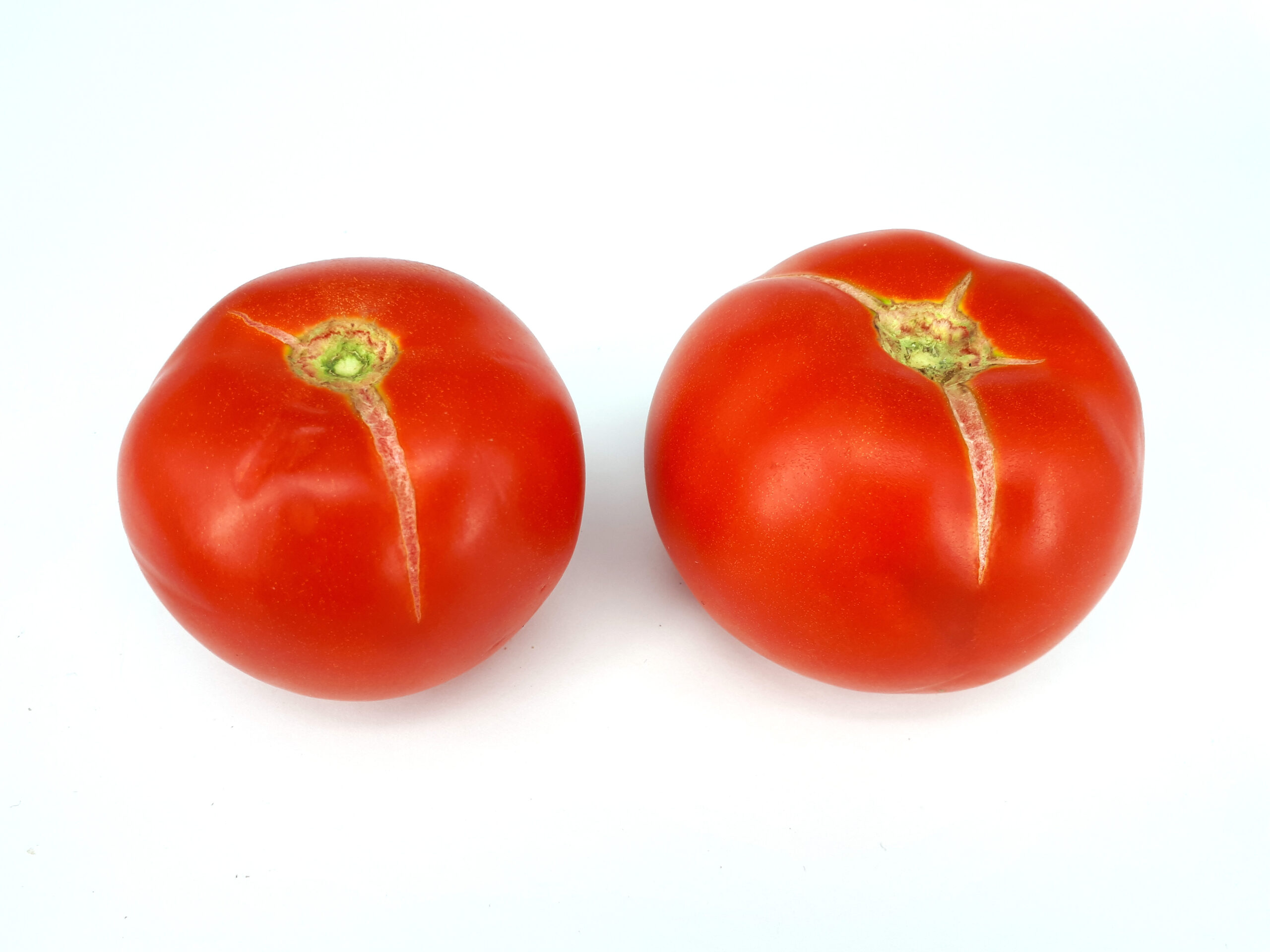 Dos tomates rojos con grietas visibles alrededor de la zona del pedúnculo