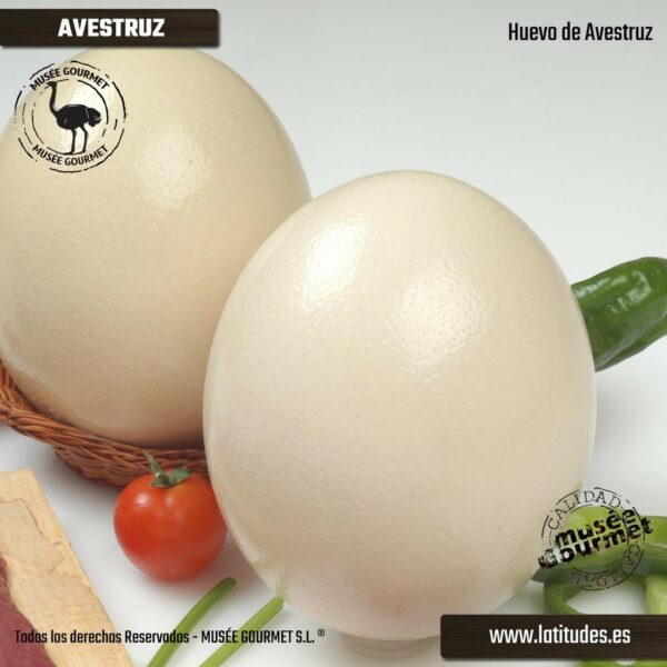 Huevo de avestruz refrigerado