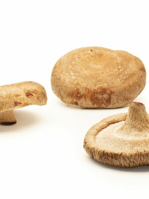 Shiitake ecológico