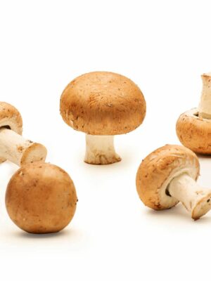 Champiñón portobello ecológico