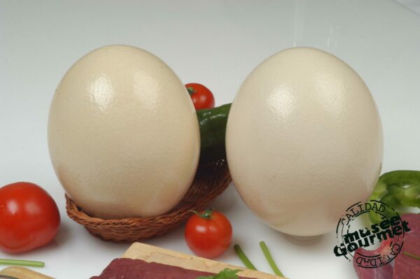 Huevo de avestruz refrigerado — imagen 4