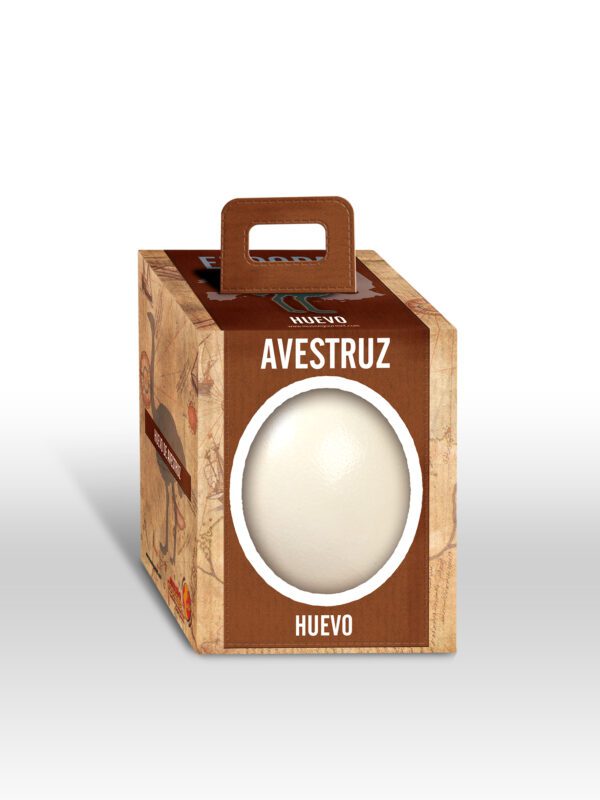 Huevo de avestruz refrigerado — imagen 5