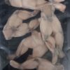 Ancas de rana calibre 16-20 (Pack 250 gr. apróx.) — imagen 3