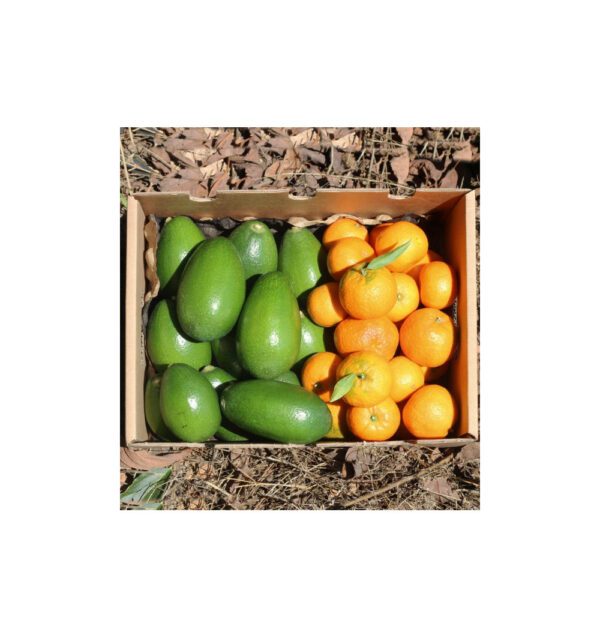 Mix aguacates piel lisa y mandarinas clementinas