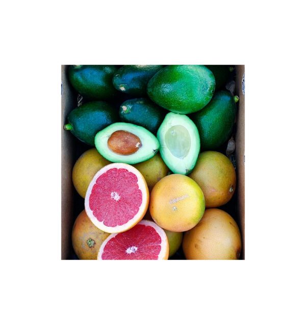 Imagen del producto