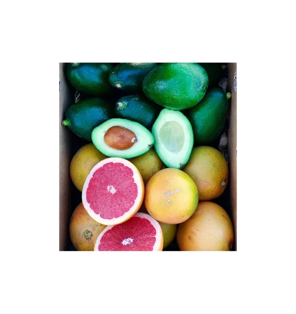 Imagen del producto