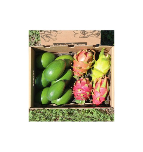 Pack aguacate piel lisa y pitahaya