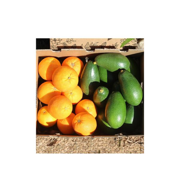 Imagen del producto