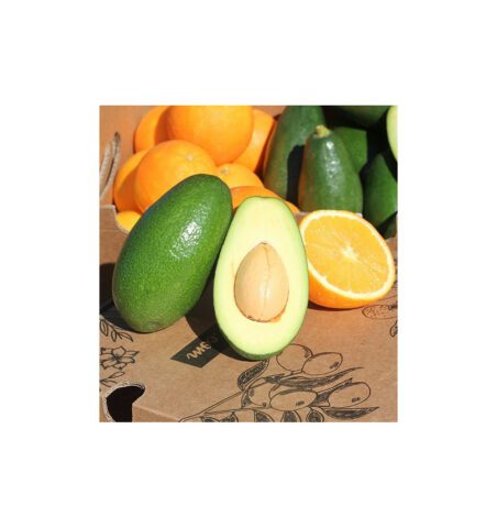 Imagen del producto