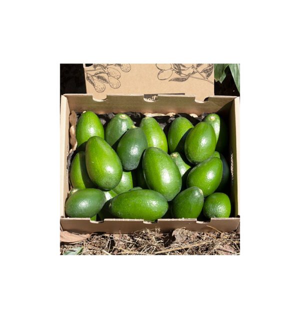 Imagen del producto