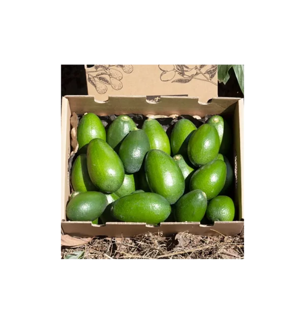 Imagen del producto
