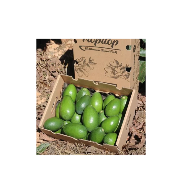 Imagen del producto