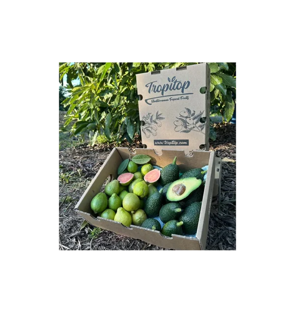 Imagen del producto