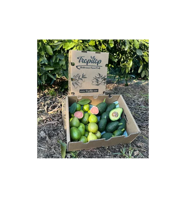 Imagen del producto