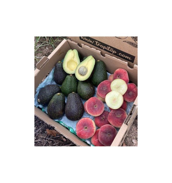 Imagen del producto