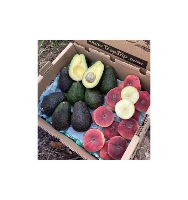 Imagen del producto