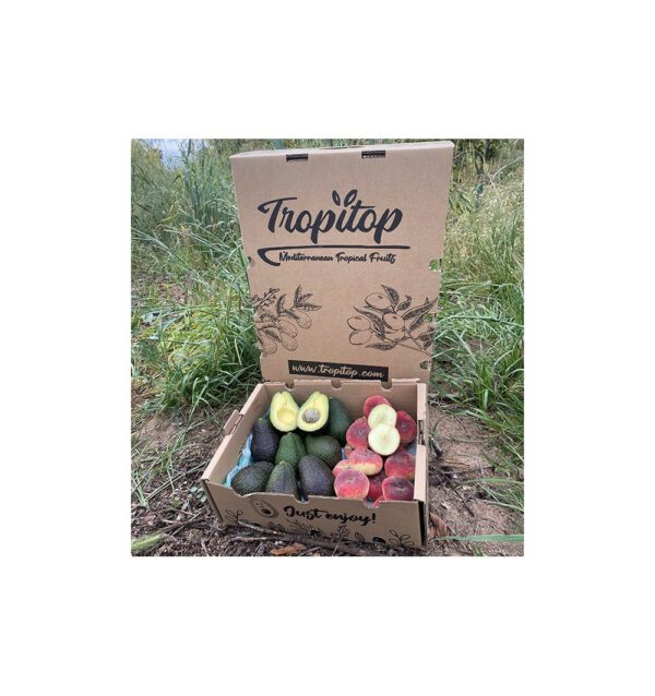 Aguacates hass y paraguayos
